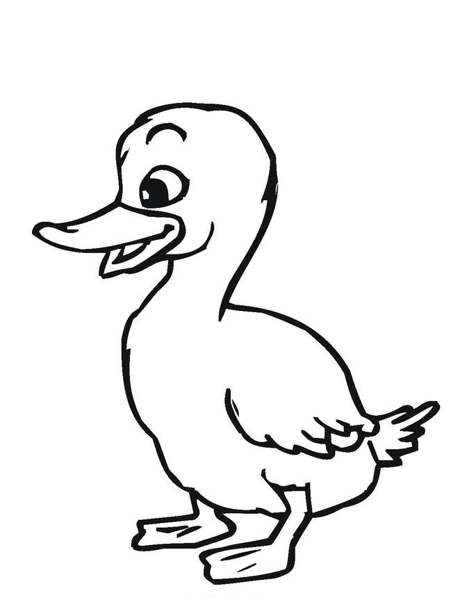 685x886 Gorgeous Duck Coloring Page Coloring For Beatiful Duck Cartoon