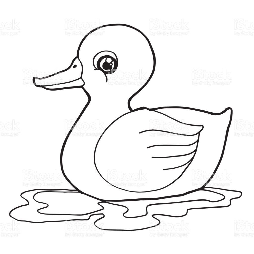1024x1024 Cartoon Cute Duck Coloring Page Vector Illustration Stock Art