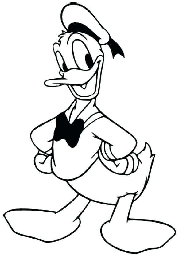 583x837 Pictures Ducks To Color Pictures Ducks To Color Pictures