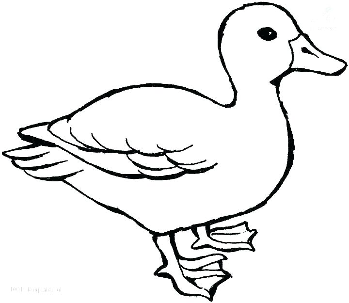720x625 Rubber Duck Coloring Page Rubber Duck Coloring Pages Free Ducky