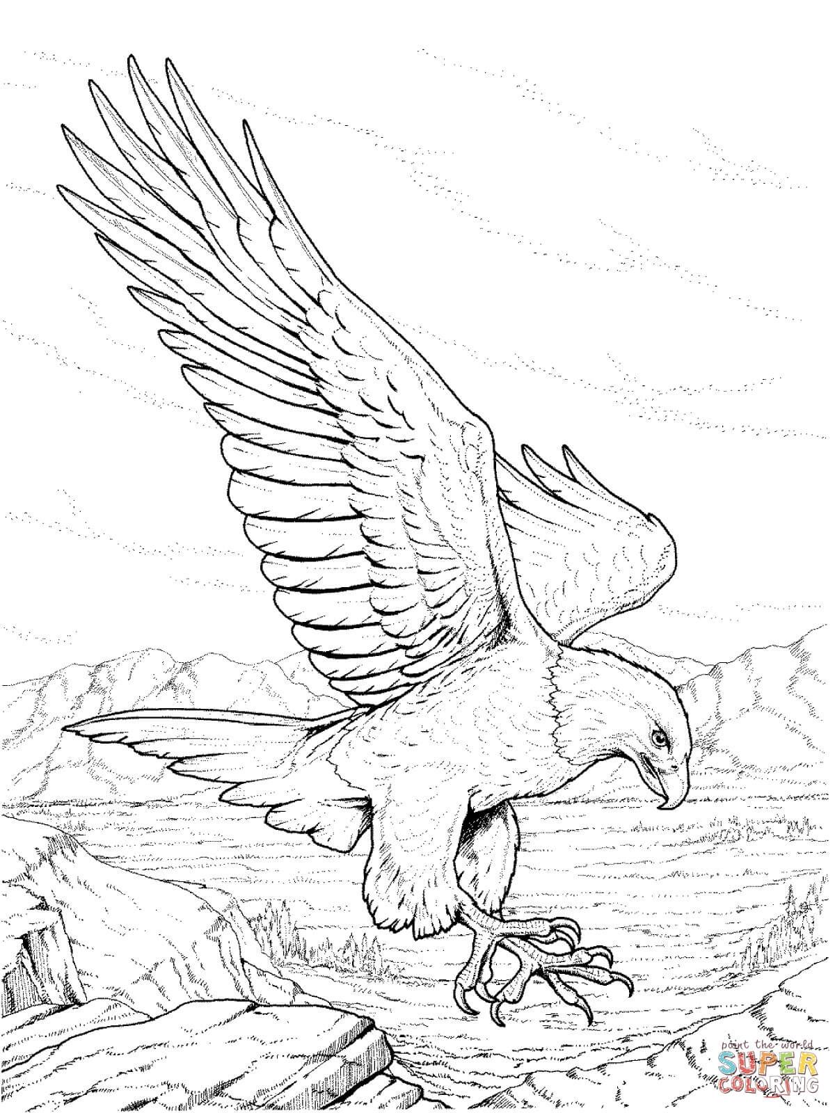 1200x1600 Download Awesome Bald Eagle Coloring Page For Free