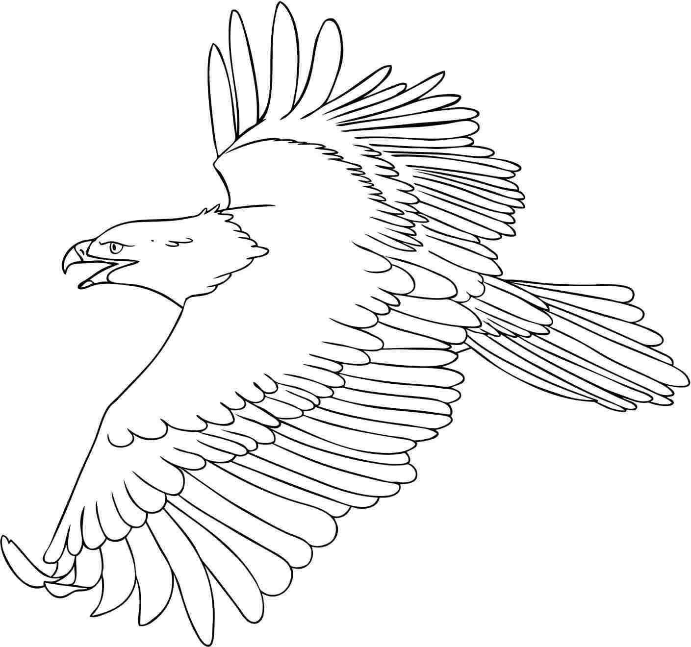 1409x1320 Free Printable Eagle Coloring Pages For Kids Eagle Color Page