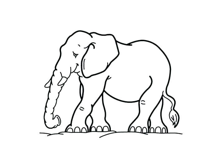 700x500 Wombat Coloring Page Wombat Coloring Page Cartoon Elephant