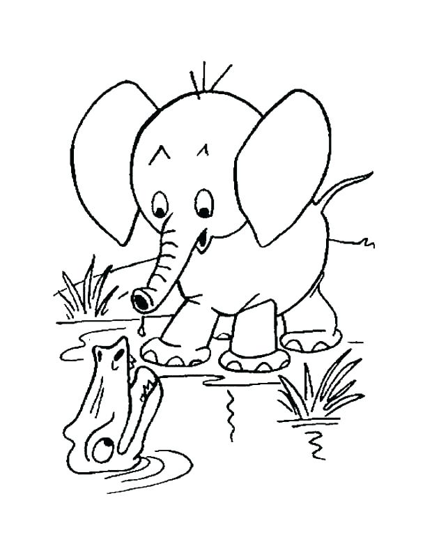 610x790 Elephant Color Page Cliptext.co