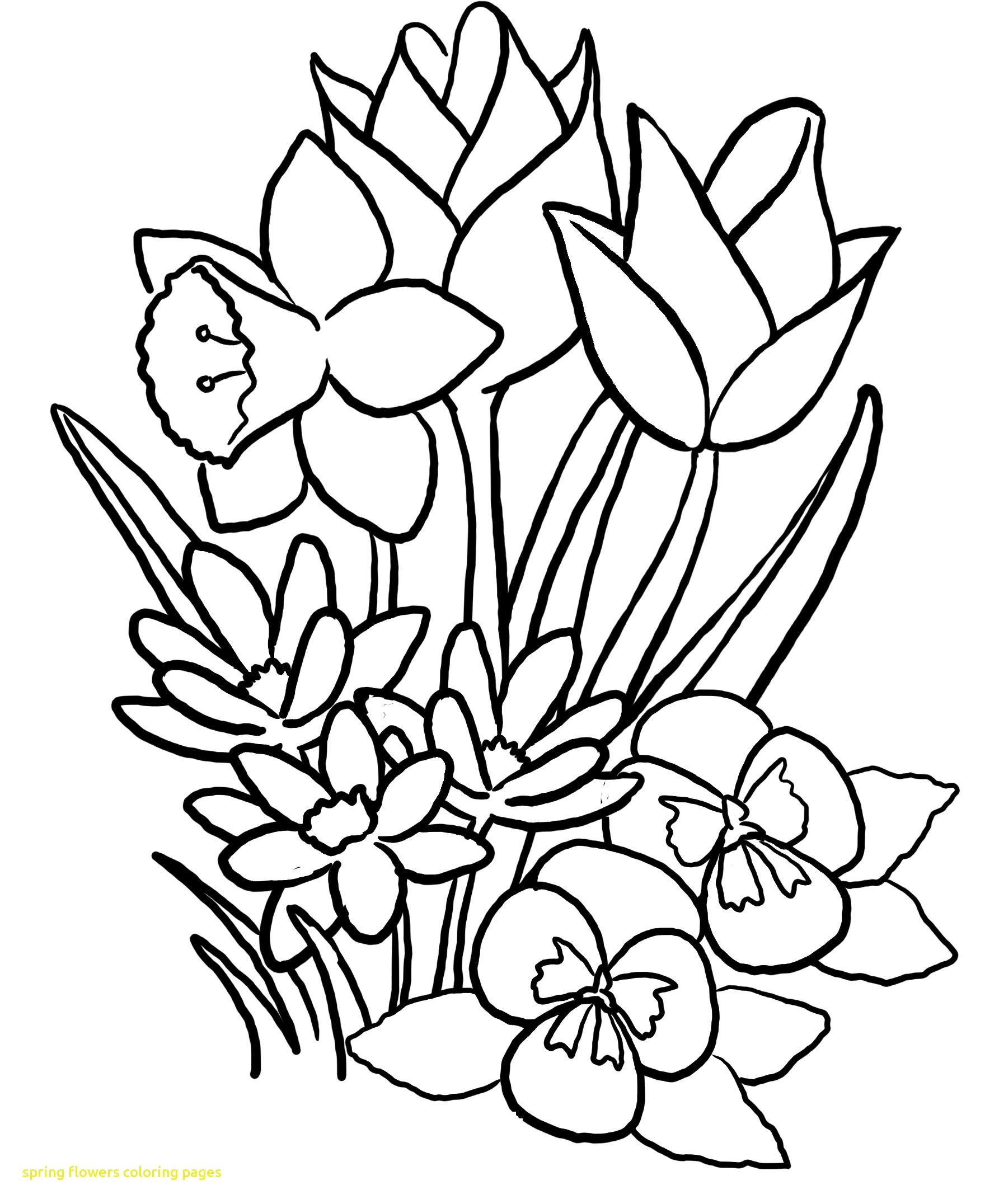 1785x2152 New Printable Adult Coloring Pages Flowers Coloring Page For Kids