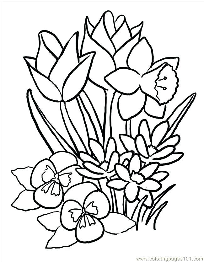 650x835 Cartoon Flower Coloring Pages