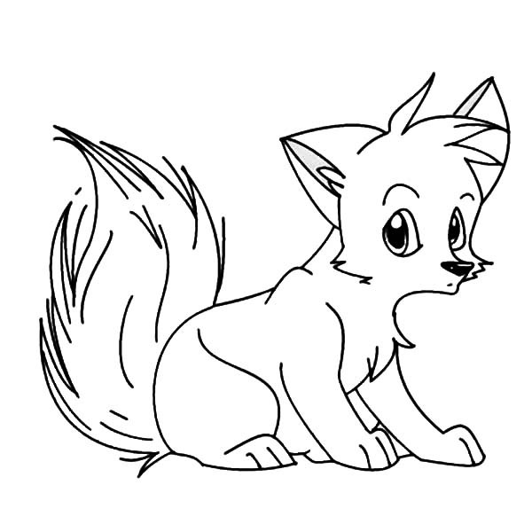600x600 Cartoon Artic Fox Coloring Pages Best Place To Color