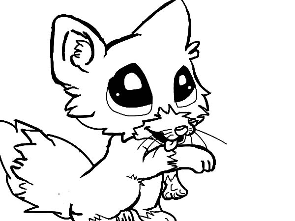 600x450 Cute Baby Fox Coloring Page