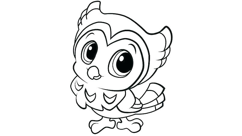 805x453 Fennec Fox Coloring Page Professional