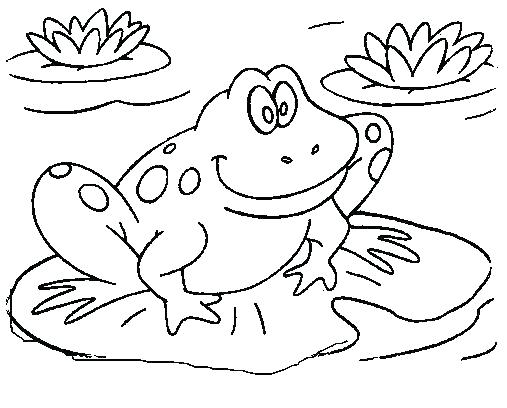 507x408 Free Frog Coloring Pages Cartoon Frogs Swimming Coloring Page