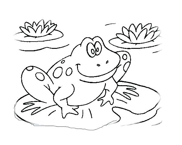 600x478 Frogs Coloring Pages Frogs Coloring Pages Frog Coloring Book
