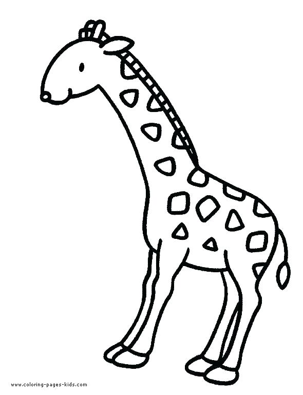 590x769 Giraffe Coloring Pages Cartoon Giraffe Coloring Page Cute Giraffe