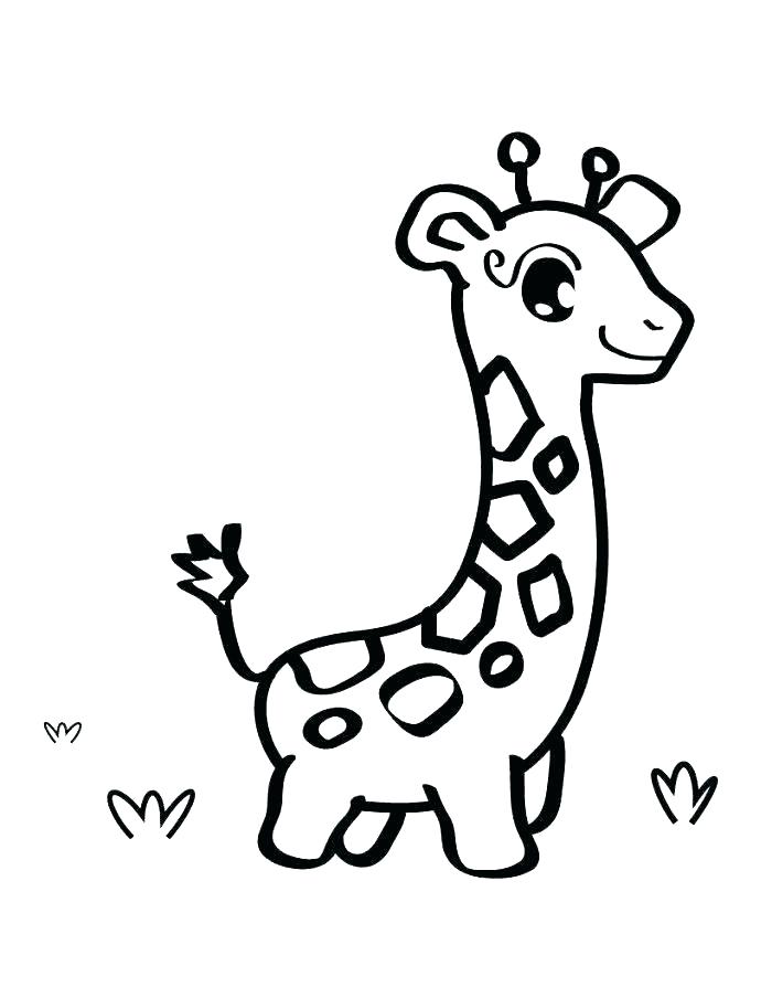 700x904 Giraffe Coloring Pages To Print Giraffe Coloring Pages The Giraffe