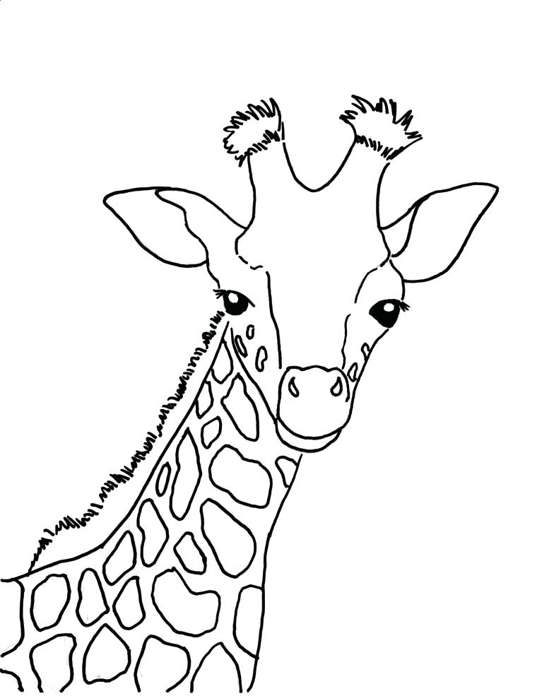760x985 Giraffes Coloring Pages Baby Giraffe Coloring Pages Baby Giraffe