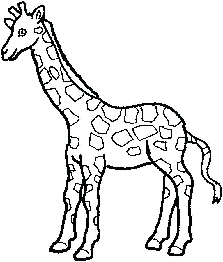 766x900 Giraffes Coloring Pages Giraffe Coloring Picture Free To Print