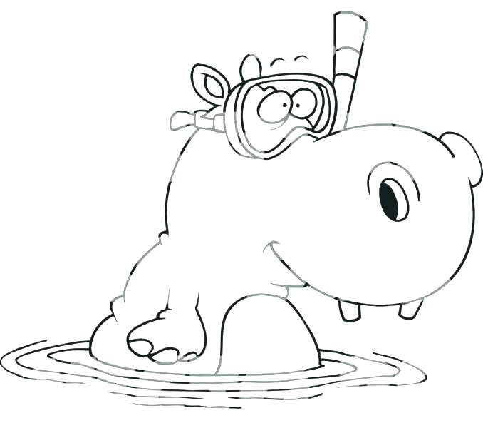 678x600 Hippo Coloring Page Hippo Coloring Page Coloring Hippo Face