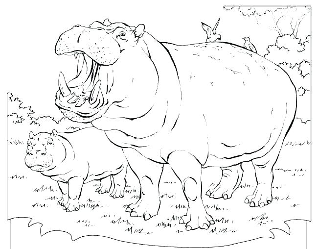 650x508 Hippo Coloring Pages Cartoon Stork Delivering Baby Hippo Coloring