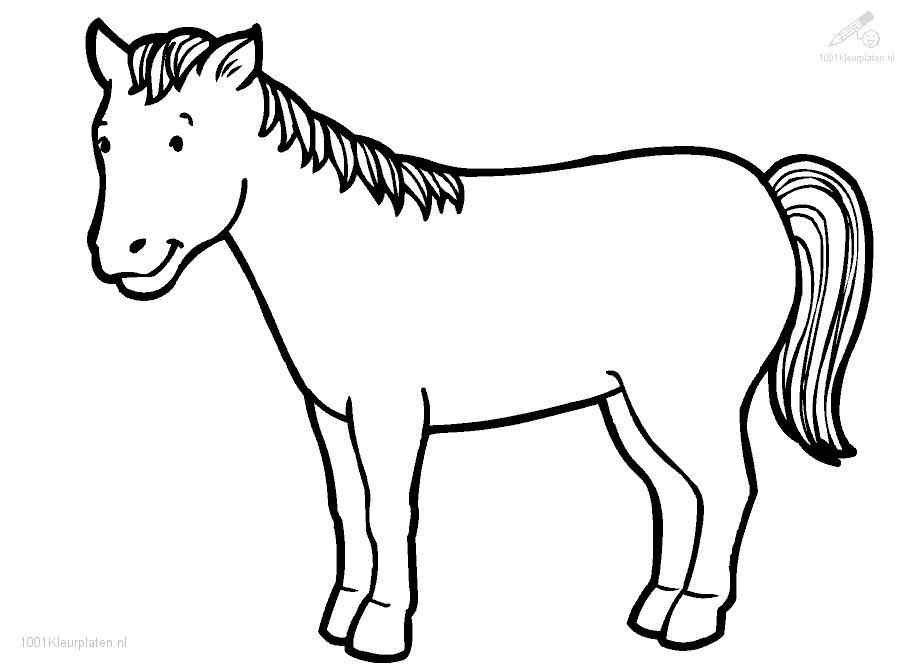 909x670 Cute Horse Coloring Pages