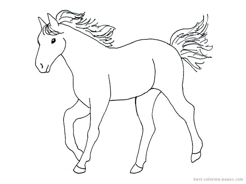 801x600 Coloring Page Of Horse