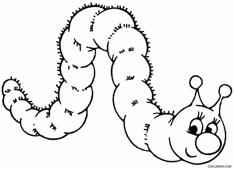 776x560 Printable Caterpillar Coloring Pages For Kids Cool2bkids