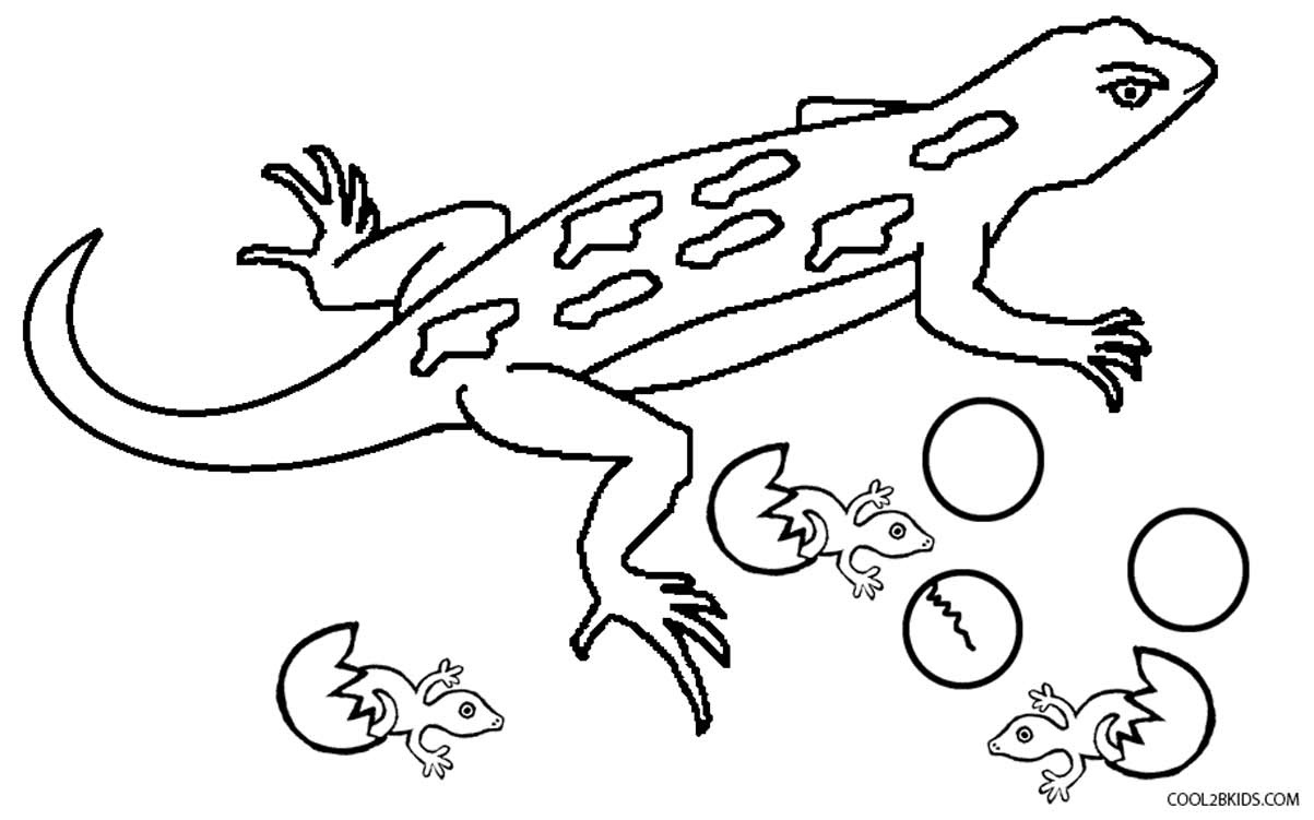 Cartoon Lizard Coloring Pages