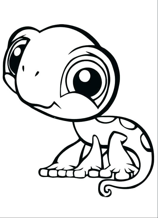 531x733 Reptiles Coloring Pages Beautiful Wild Animal Coloring Pages