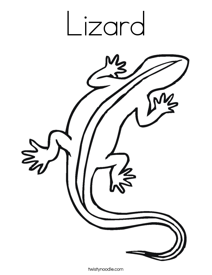 685x886 Lizard Coloring Page.png Birthday Party