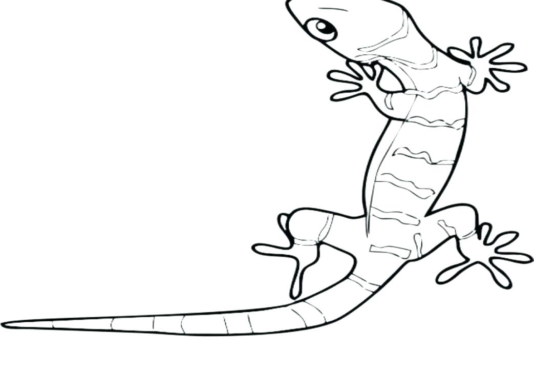 1043x724 Basilisk Lizard Coloring Page Coloring Pages For Adults Only Free