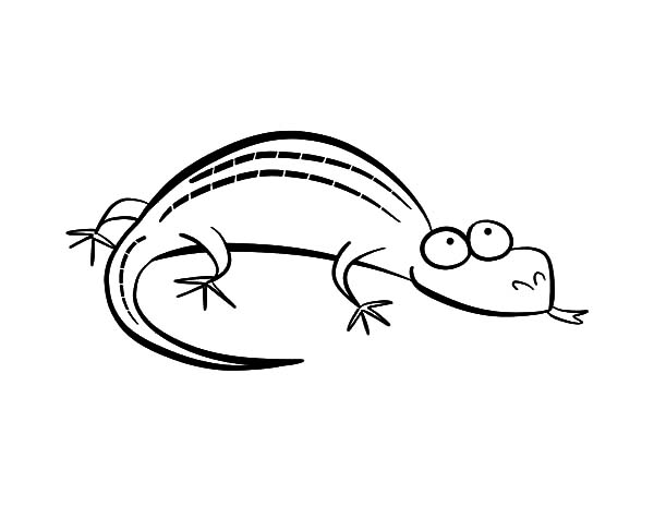 600x464 Cartoon Lizard Coloring Pages