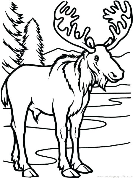 450x600 Fresh If You Give A Moose A Muffin Coloring Pages Or Cartoon Moose