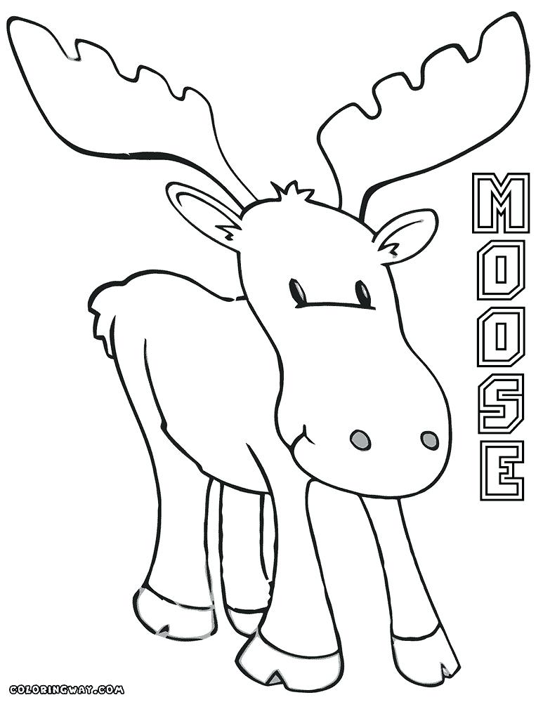 773x1000 Moose Coloring Pictures Moose Coloring Pages X Moose A Moose