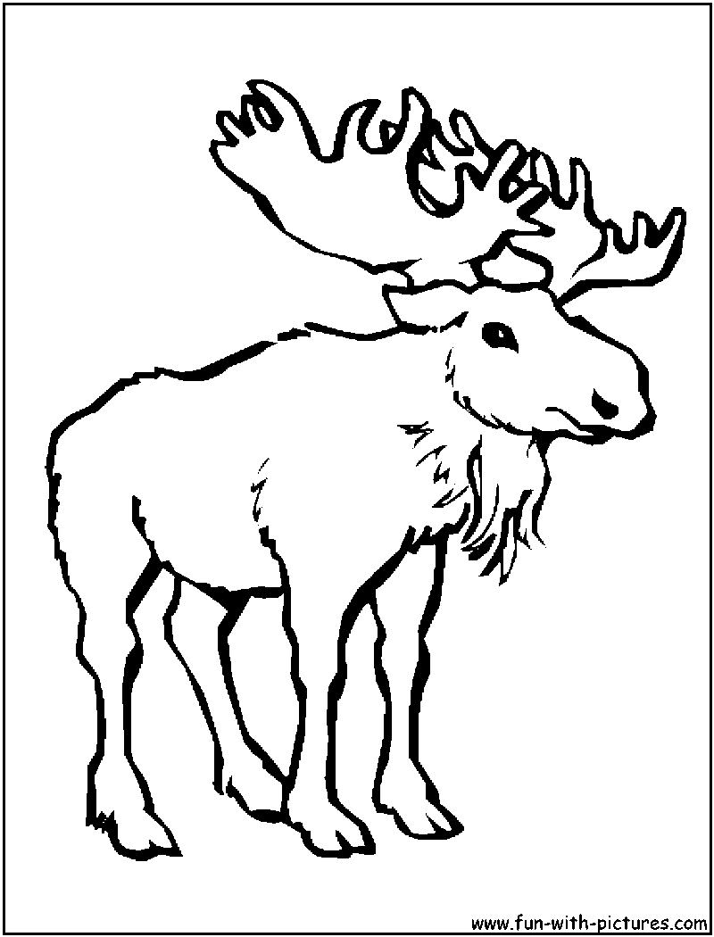 800x1050 Cartoon Moose Coloring Pages