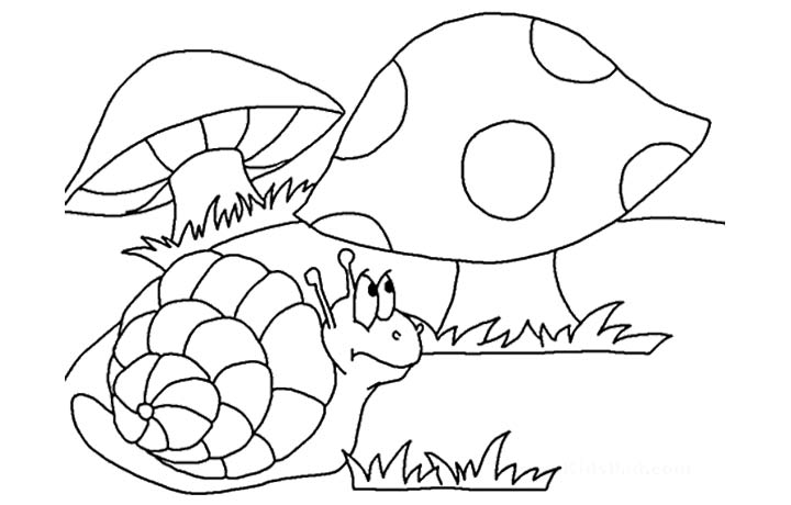 720x460 Printable Mushroom Coloring Pages