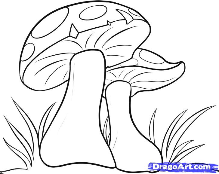 728x579 Cartoon Mushroom Coloring Pages How To Draw Mushrooms Step 6