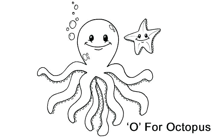 720x460 Coloring Pages Octopus Octopus Coloring Page For Preschoolers
