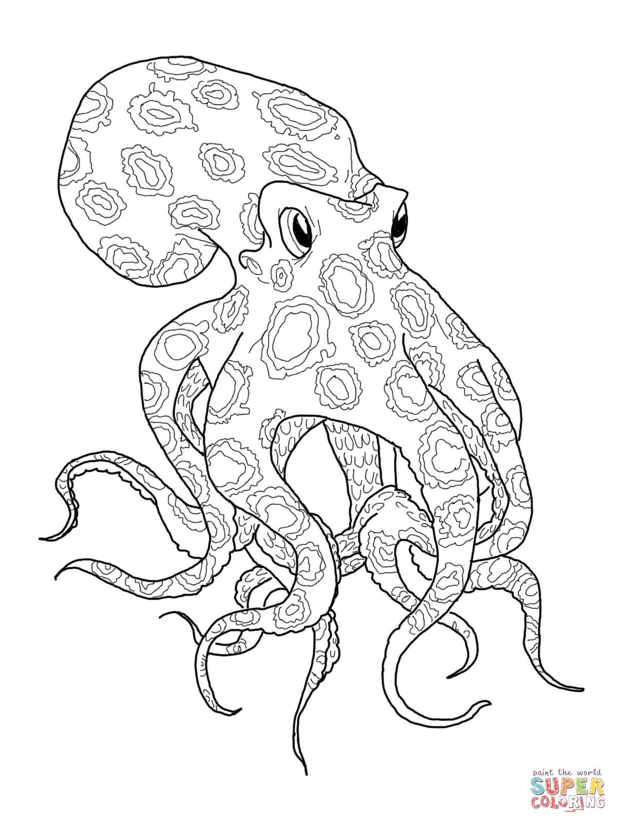 1200x1600 Fresh O For Octopus Coloring Page Animal Pages Best Auto Market