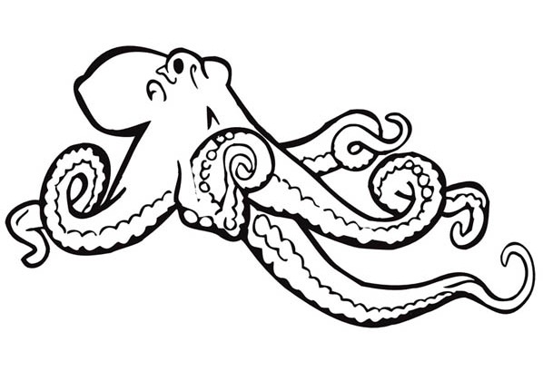 598x420 Giant Octopus Coloring Page Amp Coloring Book