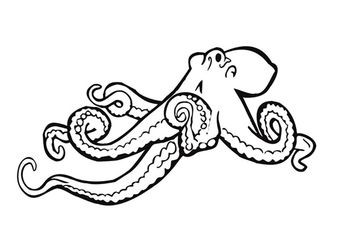 700x500 28 Octopus Coloring Page Printable Free Coloring Pages