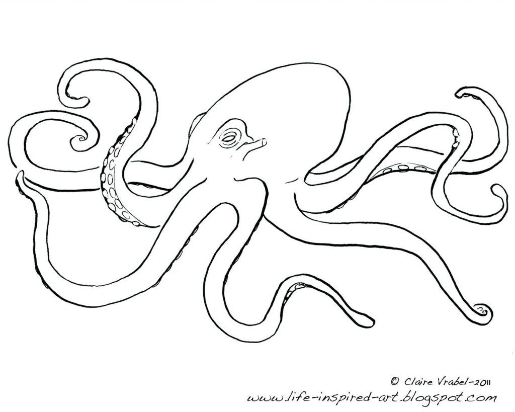 1024x819 Coloring Page ~ Octopus Coloring Pages Page Animals Printable