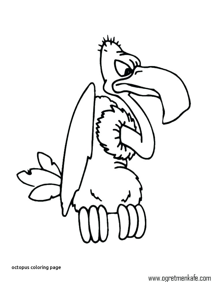 736x977 Coloring Pages Octopus Shippa.co