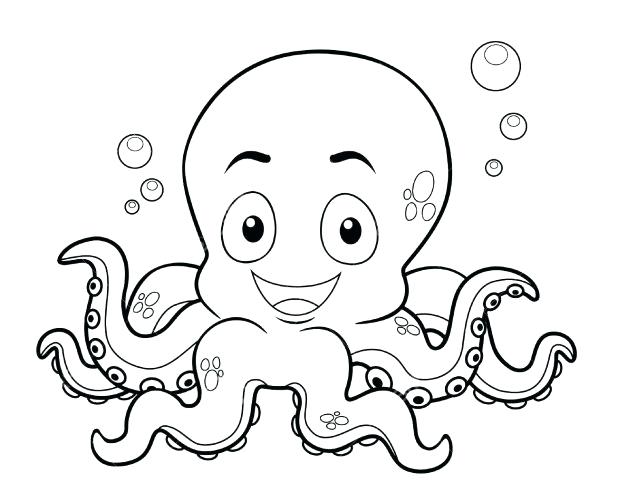 618x502 O For Octopus Coloring Page
