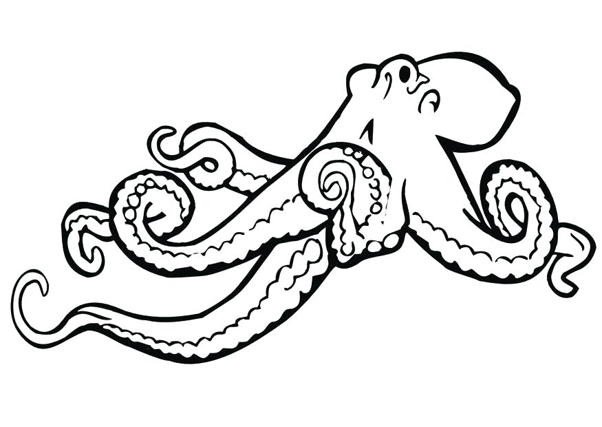 875x620 Cartoon Octopus Coloring Page Free Printable Pages