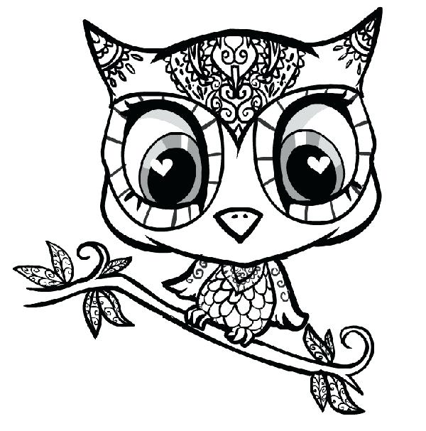 600x607 Cartoon Owl Coloring Pages To Print Best Ideas On Free Download