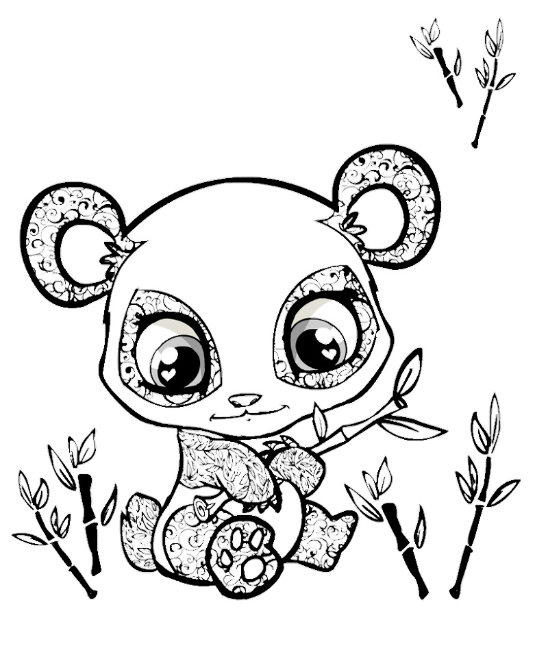 800x943 Homey Idea Cartoon Panda Coloring Pages Cute