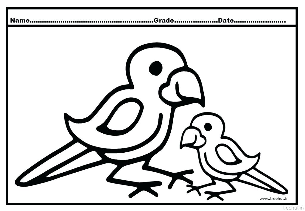 1024x709 Parrot Coloring Pages Cute Parrot Coloring Pages