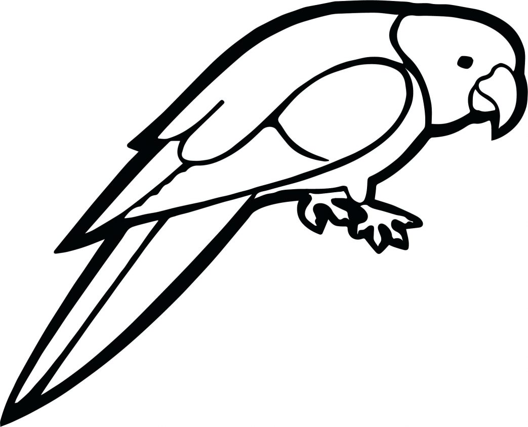 1043x844 Parrot Coloring Pages For Preschoolers Red Amazon Page Stunning