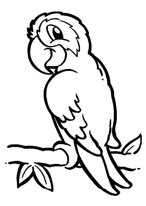 600x849 Cartoon Parrot Coloring Pages 1999259