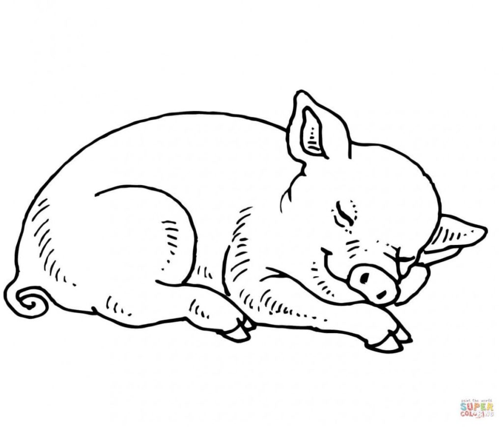Cartoon Pig Coloring Pages
