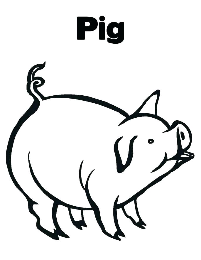 685x886 Coloring Peppa Pig
