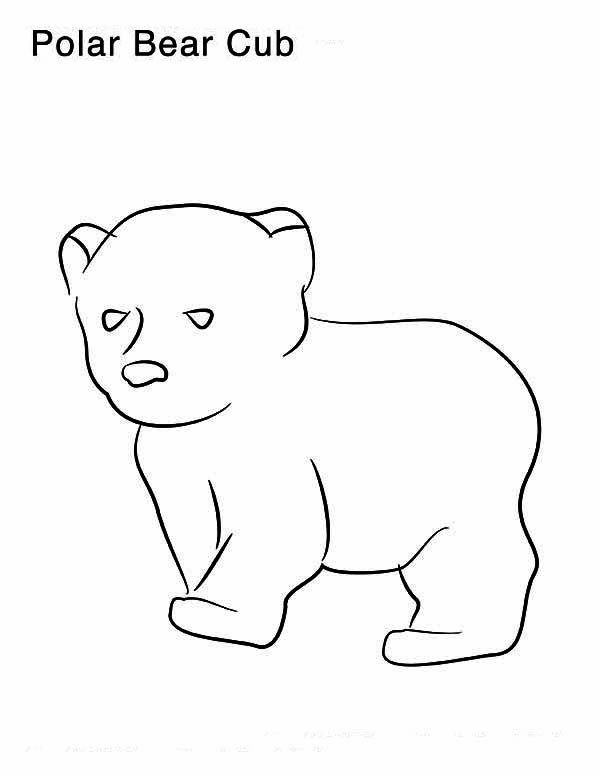 600x776 Polar Bear, Little Polar Bear Coloring Page Polar Bear
